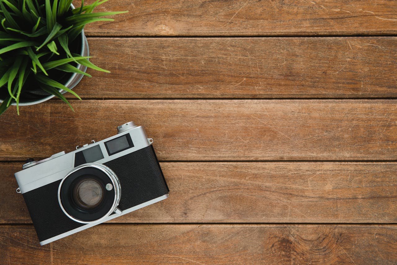 gallery-01 Retro camera and potted plant on wooden surface with copy space.